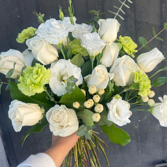 Meet your Posher, Ruby - Picture 1 of 1